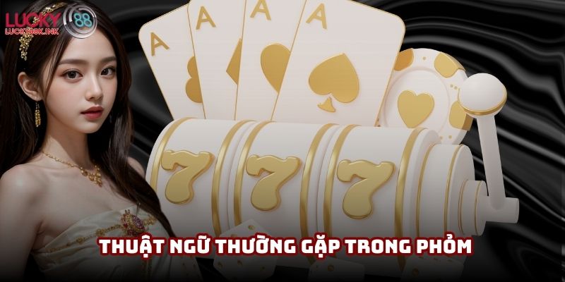 Thuật ngữ thường gặp trong các game bài Phỏm